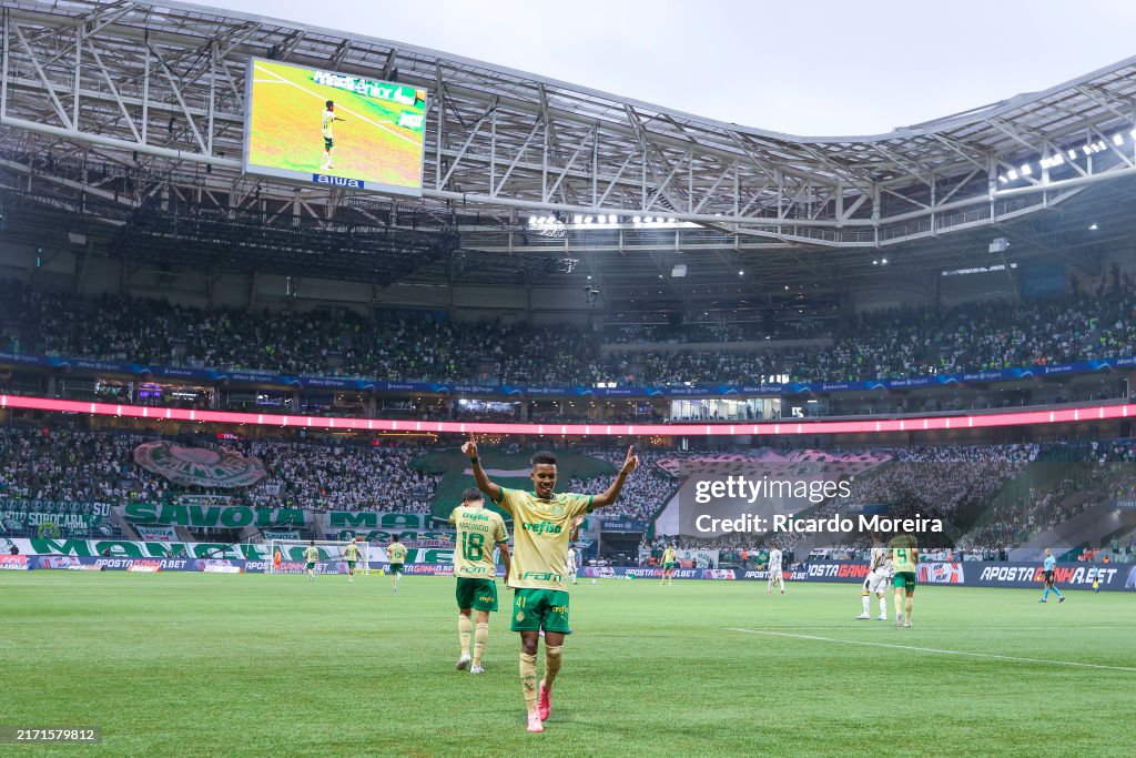 Palmeiras v Criciuma - Brasileirao 2024