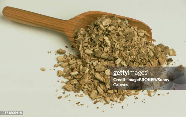 Condurango Cortex 12 Marsdenia Stock Photos, High-Res Pictures, and Images - Getty Images