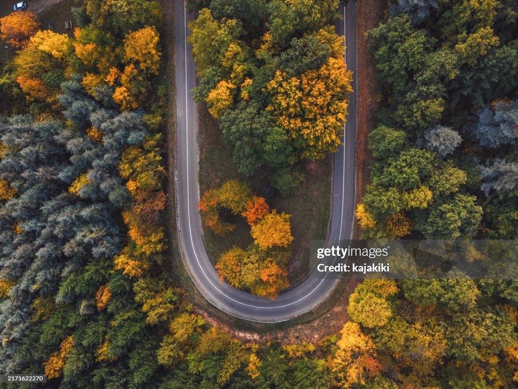Aerial view of country road in sunny autumn forest