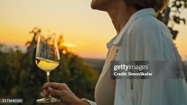 momenti sereni al tramonto in vigna - sistema-classista foto e immagini stock
