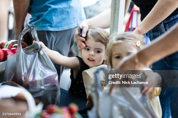 Toronto, ON A young girl excitedly helps grab nectarines from Bizjak Farms at the Saturday farmers market at Artscape Wychwood Barns. Farmers who...