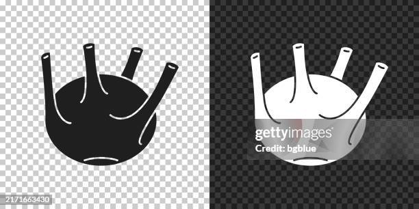 kohlrabi. icon for design on blank background - cabbage isolated stock illustrations