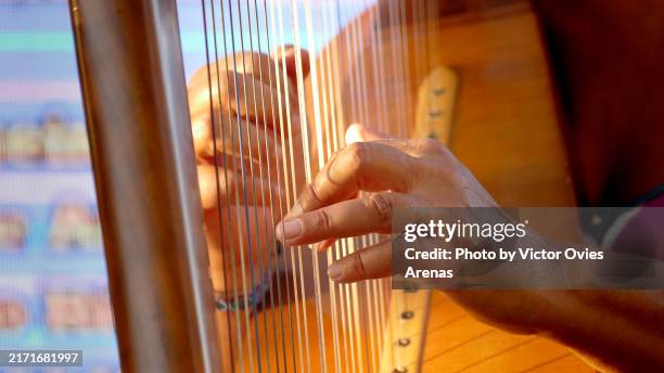 hands playing harp - harpa imagens e fotografias de stock