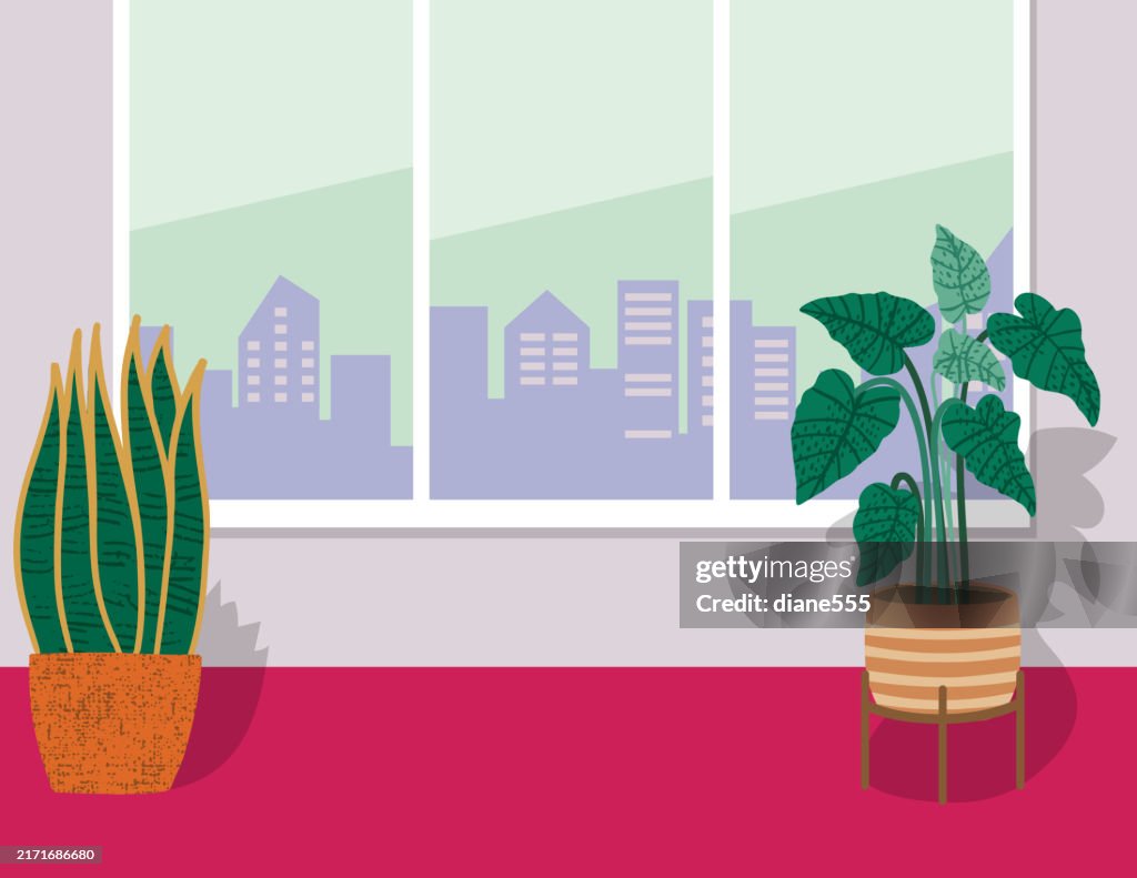 Empty Room With Houseplants