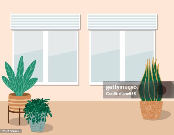 leerer raum mit zimmerpflanzen - zierpflanze stock-grafiken, -clipart, -cartoons und -symbole
