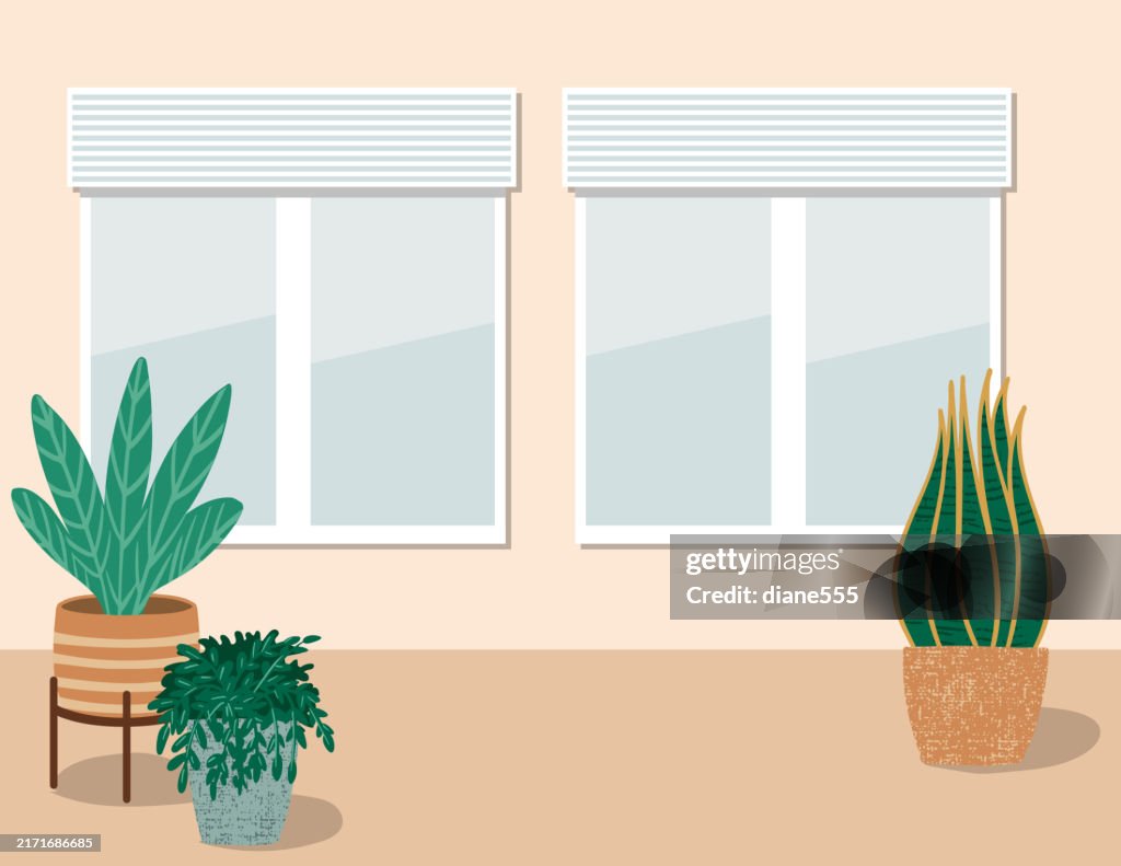 Empty Room With Houseplants