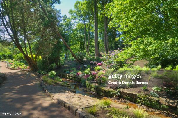 ayr chinese gardens on ayr university campus, university of the west of scotland. ayrshire, scotland, uk - chinesischer garten im klassischen stil stock-fotos und bilder