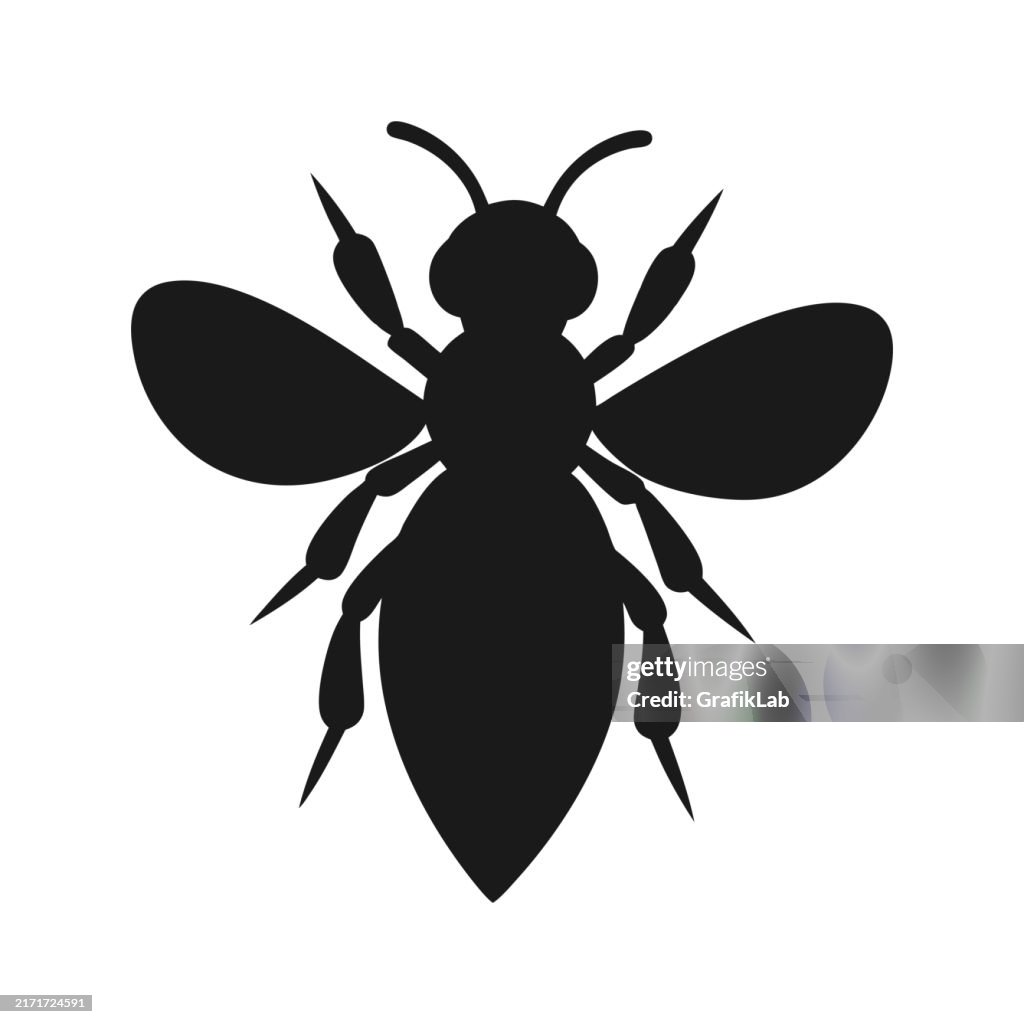 Black Silhouette of a Bee with Detailed Wings