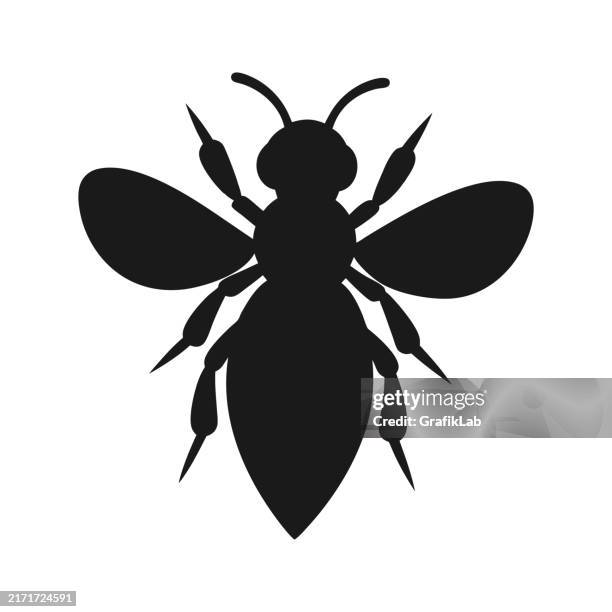 black silhouette of a bee with detailed wings - hornet stock illustrations