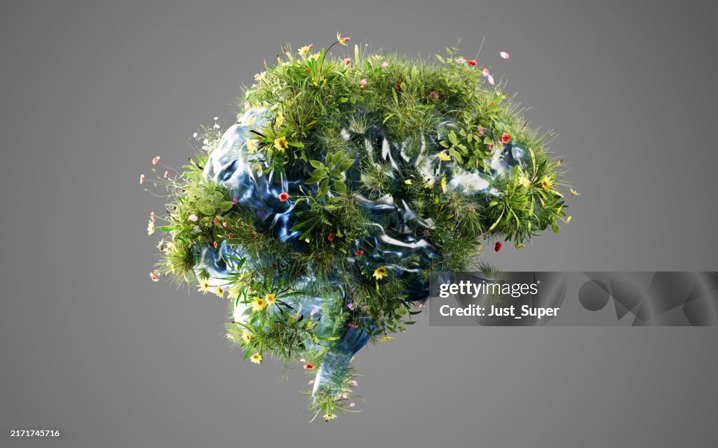Mental Health Emotional Well Being Psychological Cognitive Personality