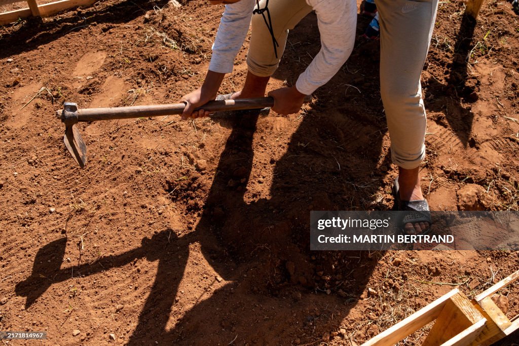MOROCCO-CASABLANCA-URBAN-FARMING