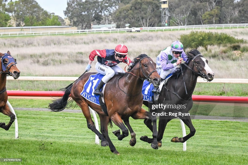 Maxi Tankers Maiden Plate