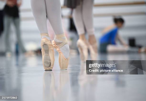 September 2024, Baden-Württemberg, Stuttgart: Dancers from the Stuttgart Ballet train in a ballet hall in the opera house. Photo: Bernd Weißbrod/dpa