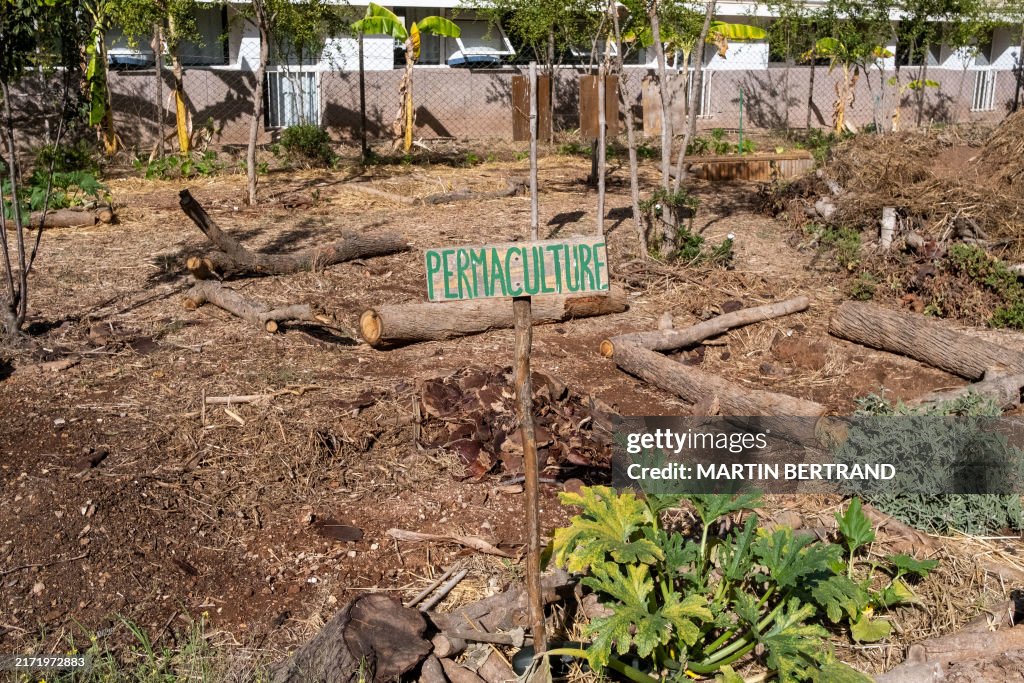MOROCCO-CASABLANCA-URBAN-FARMING