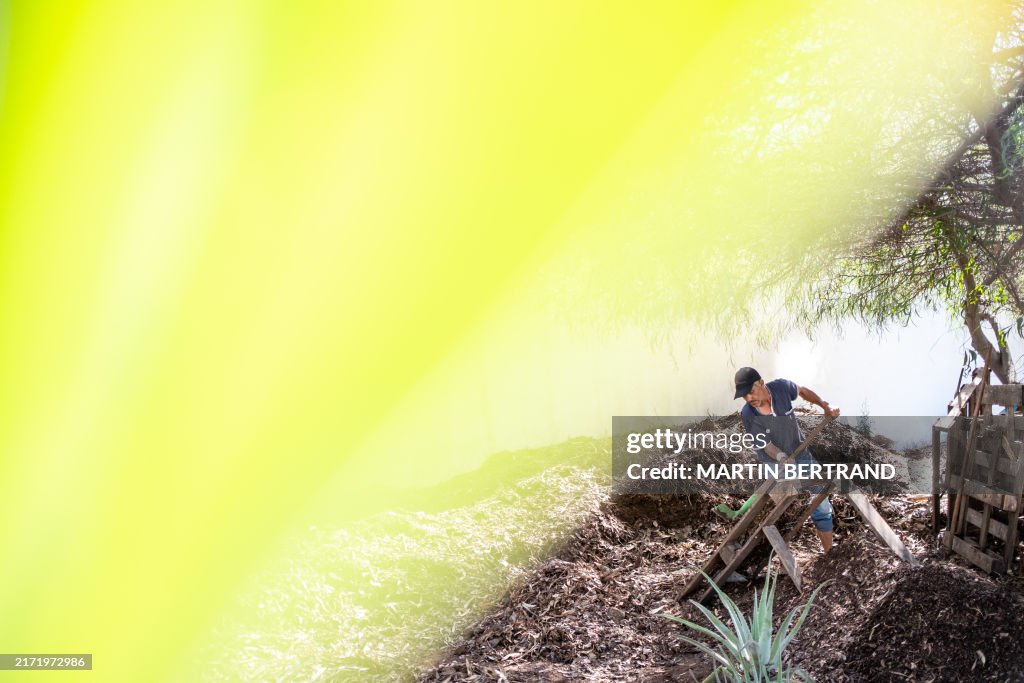 MOROCCO-CASABLANCA-URBAN-FARMING