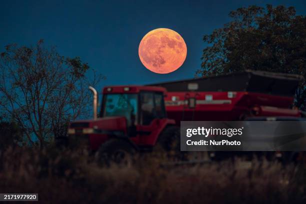 Super Moon rises over a soybean harvest at Malkow Farms in Monroe, Wisconsin, on September 17, 2024. The full moon, known as the Harvest Moon or Corn...
