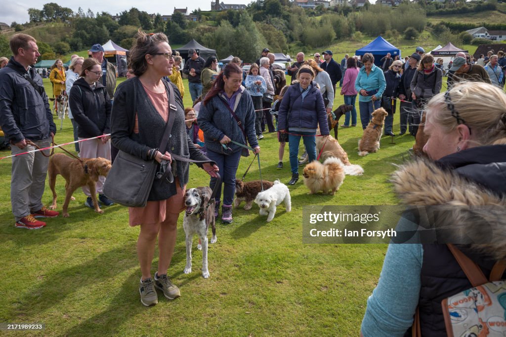 Castleton. Show Dogs take part in the Scruffs dog show during the Castleton and Danby ...