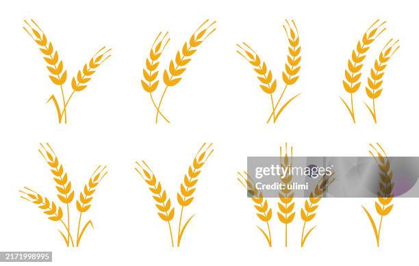 weizen-ohren - weizenähre stock-grafiken, -clipart, -cartoons und -symbole