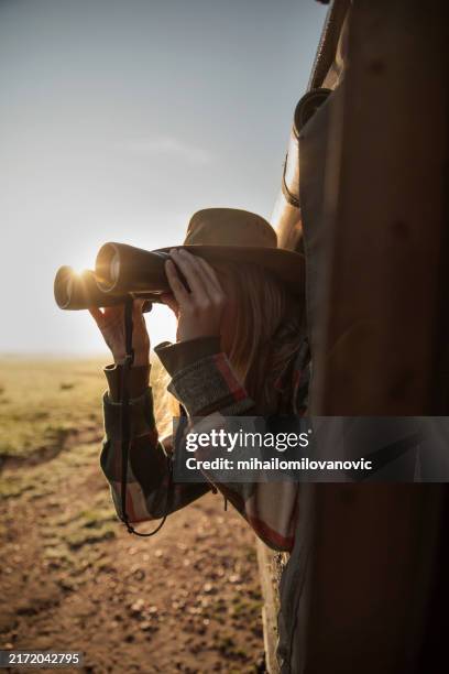 wildlife watcher with binoculars - masai-mara-national-reserve stockfoto's en -beelden