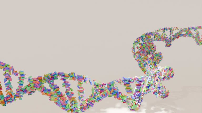 Dna Using Blocks 40 Dna Blocks Stock Videos, Footage, & 4K Video Clips - Getty Images