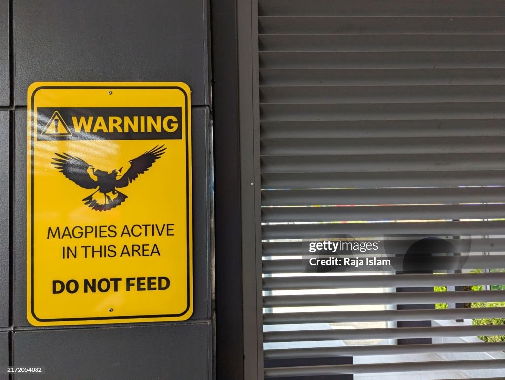 Macpie Sign Magpie Warning Sign Outside Mcdonalds In Sydney High-Res Stock Photo ...