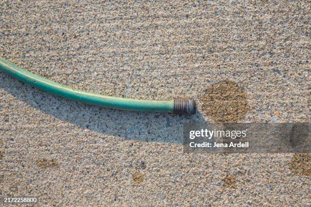 garden hose, water conservation, water rationing during summer season - hosepipe stock pictures, royalty-free photos & images