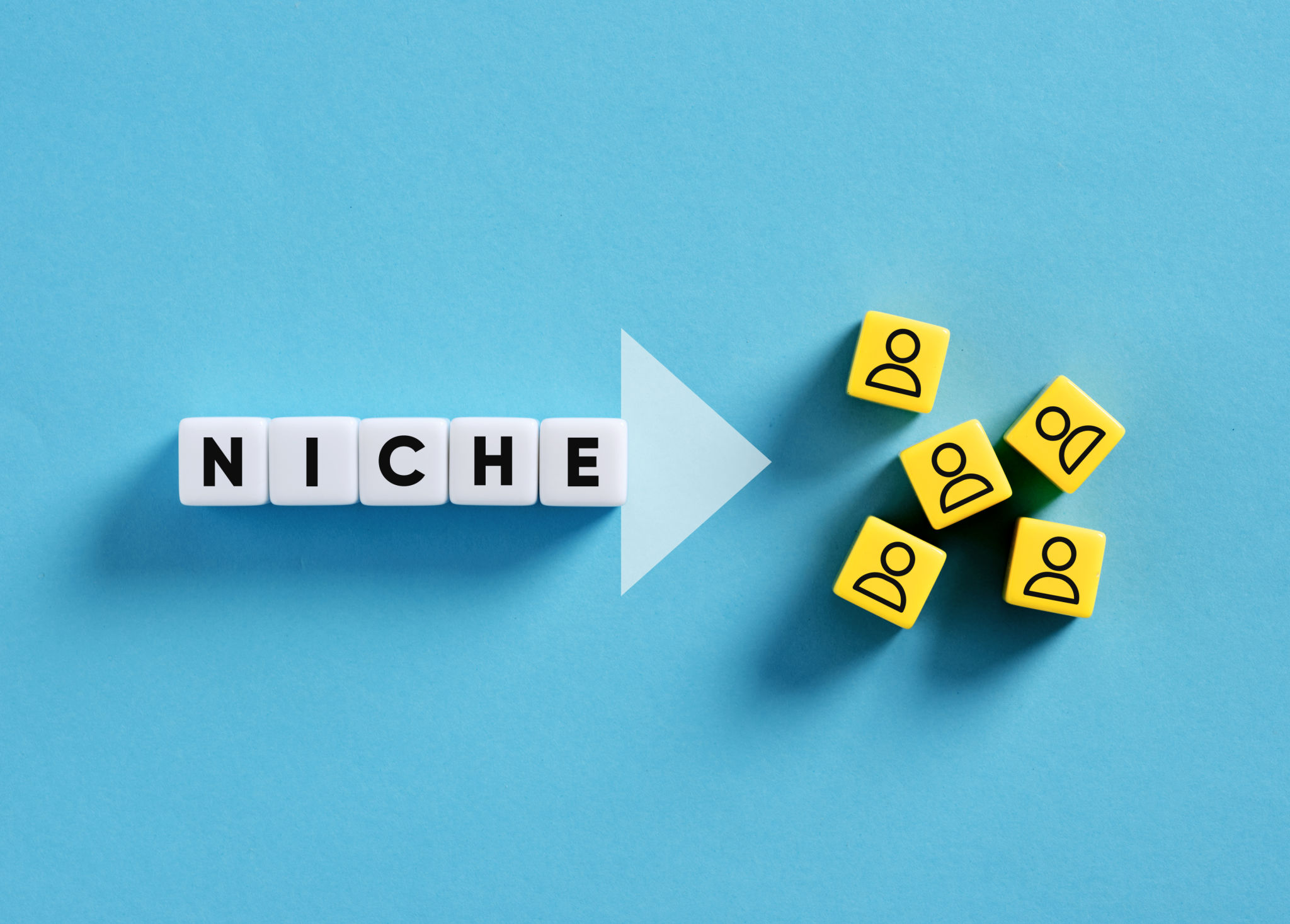 niche market products