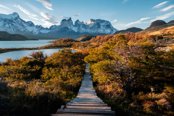 torres del paine national park, patagonia, chile - esperanza stock pictures, royalty-free photos & images