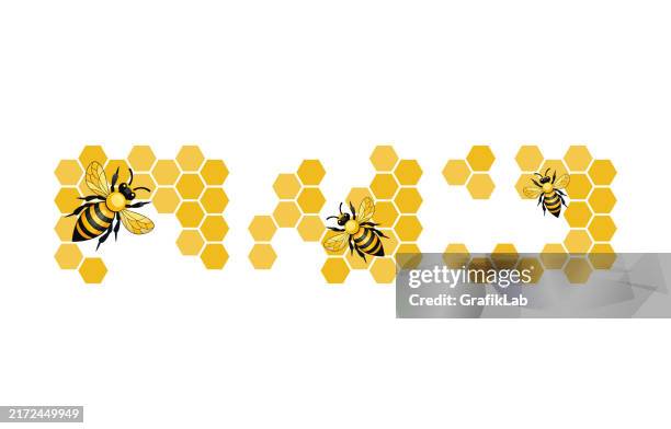 illustrazioni stock, clip art, cartoni animati e icone di tendenza di modello a nido d'ape ispirato alle api con tre api - apicoltore