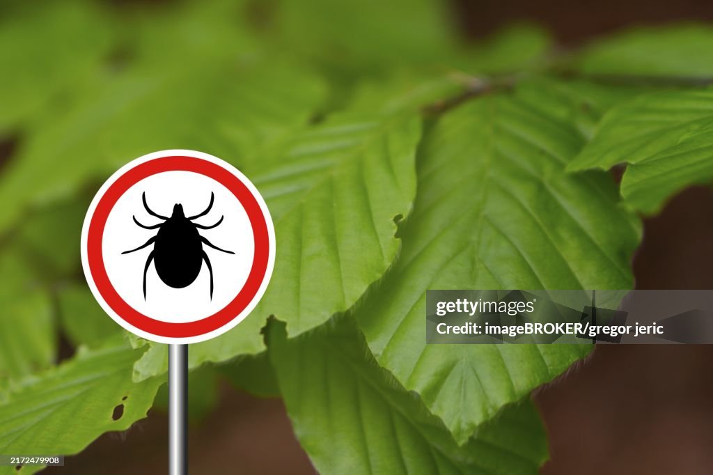 Insect Warning Sign Tick Insect Warning Sign In Nature Forest Lyme Disease And Tickborne ...