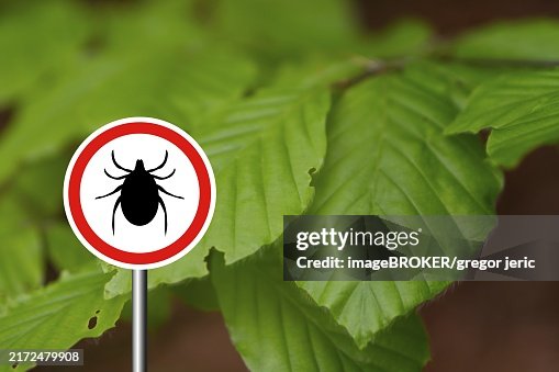 Insect Warning Tick Insect Warning Sign In Nature Forest Lyme Disease And Tickborne ...