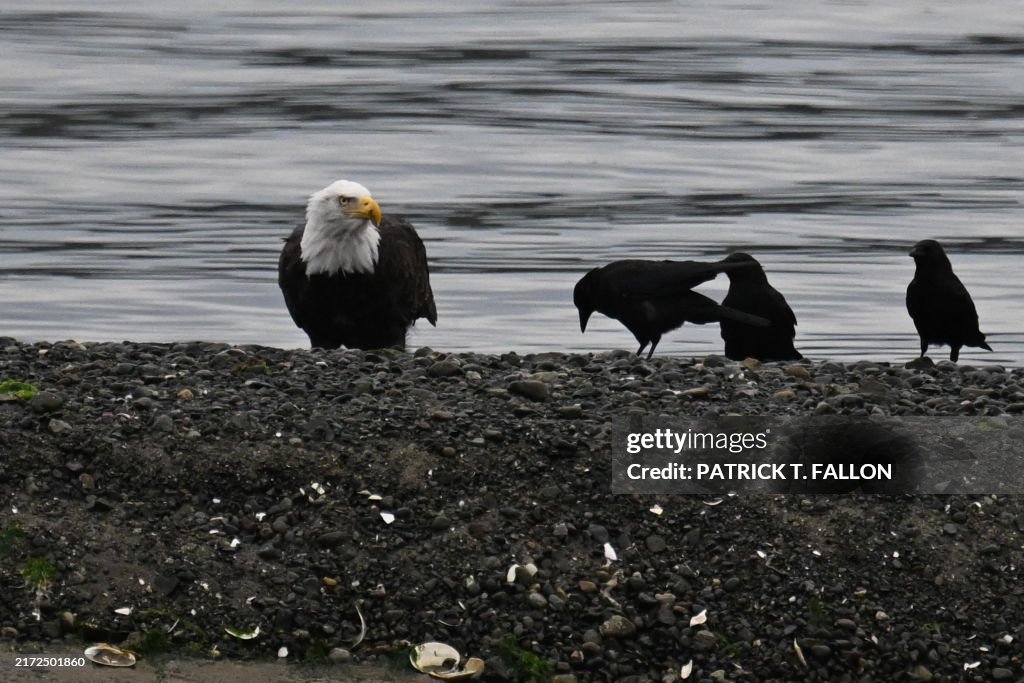 CANADA-ENVIRONMENT-NATURE