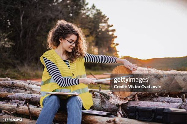 a dedicated forest researcher measures tree rings during sunset in a serene outdoor setting surrounded by logs - environmental science stock pictures, royalty-free photos & images
