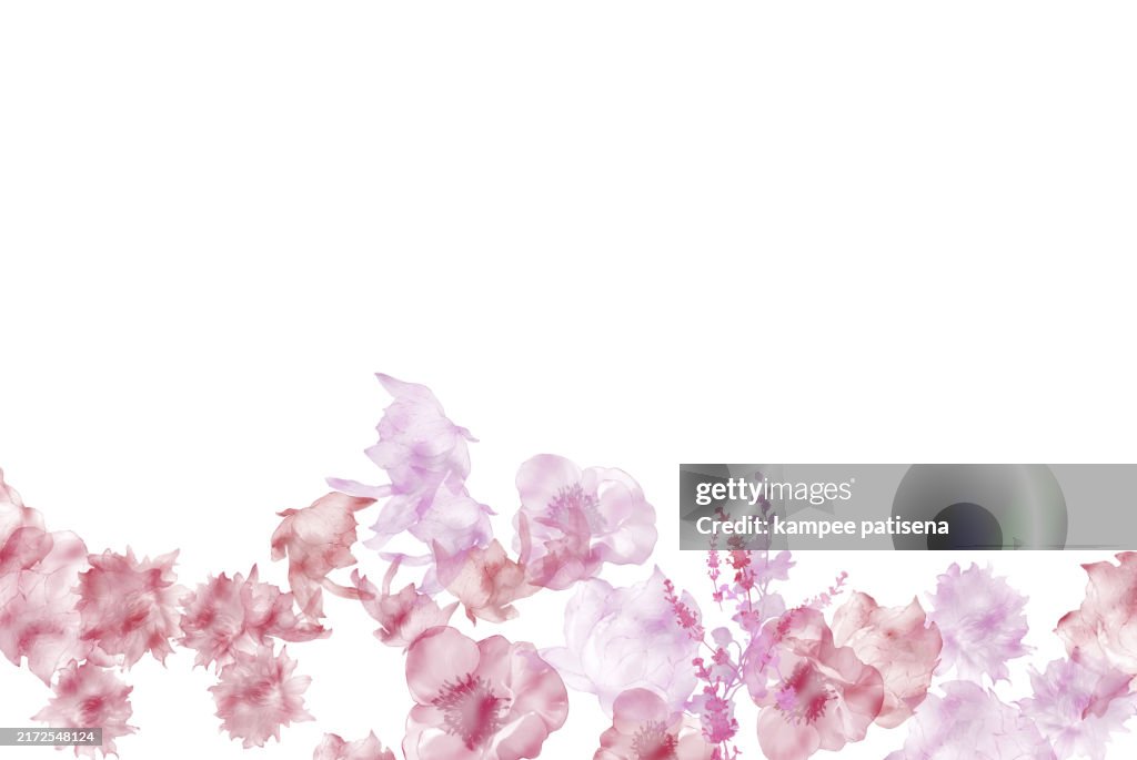 Abstract Watercolor Floral Border
