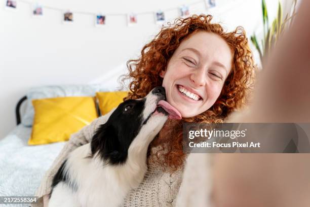 teenage woman in her bedroom taking a selfie or selfie with her dog who takes care of her and they spend a fun time together - long kisses stock pictures, royalty-free photos & images