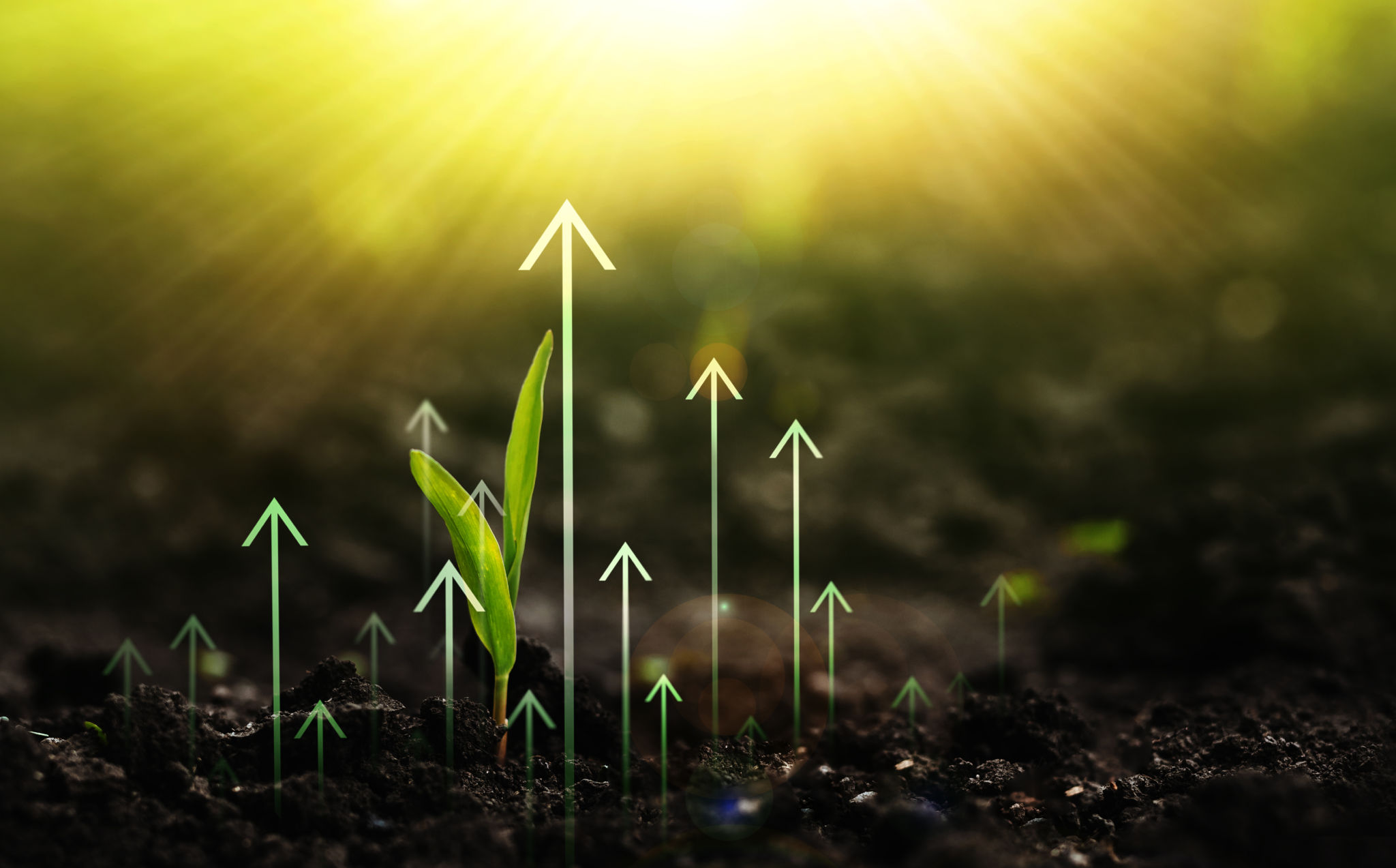 environmental benefits farming