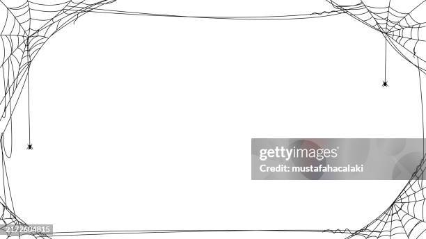 horizontale spinnennetz-illustration auf weißem hintergrund - spinne stock-grafiken, -clipart, -cartoons und -symbole