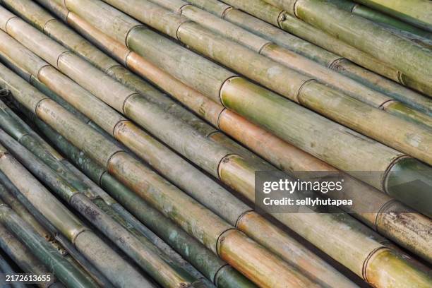 full frame shot of row bamboo background - bamboo stock pictures, royalty-free photos & images