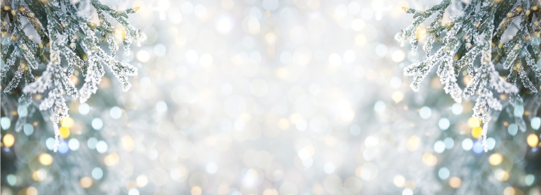 holiday colors