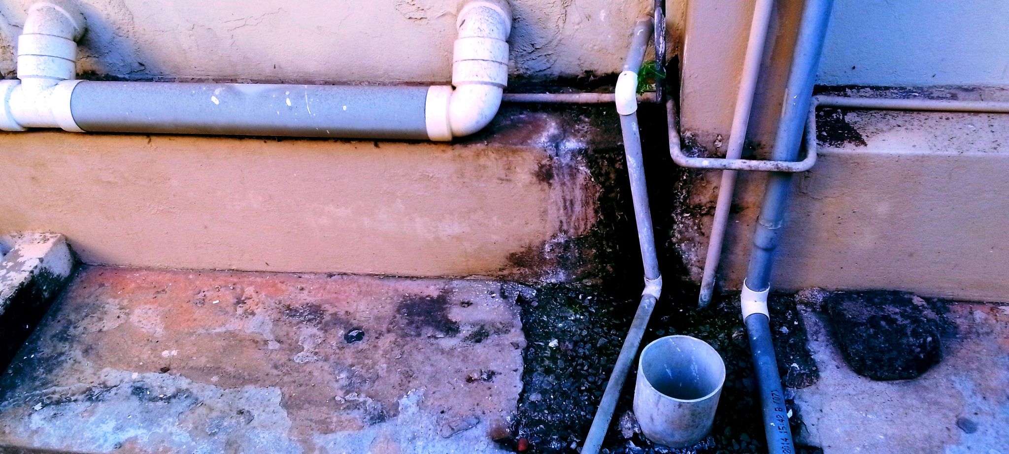 gold coast renovation