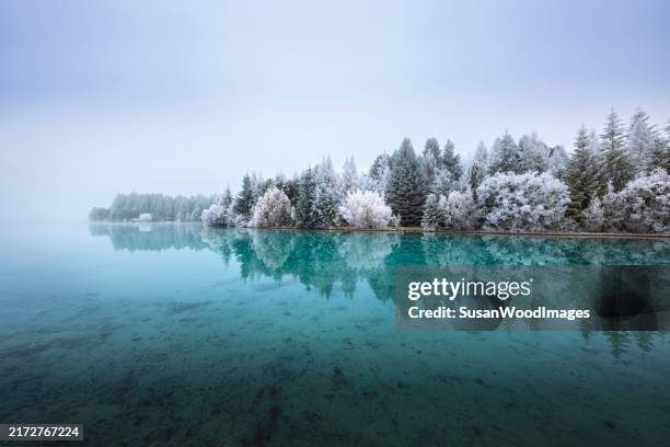 Susan Rimes 20 Susan Rimes Stock Photos, High-Res Pictures, and Images - Getty Images