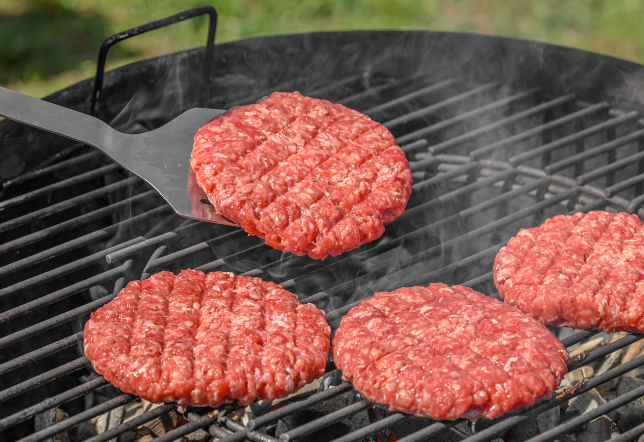 buffalo burger