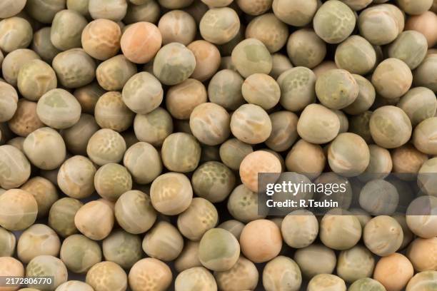 whole dried green peas full frame as a background - green pea soup stock pictures, royalty-free photos & images