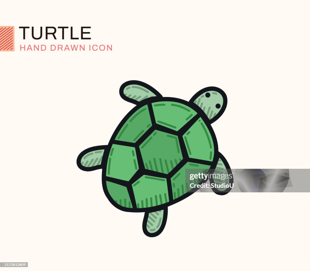 Turtle Flat Design Single Line Icon