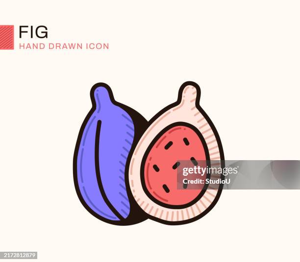 fig flat design line icon - figs stock illustrations