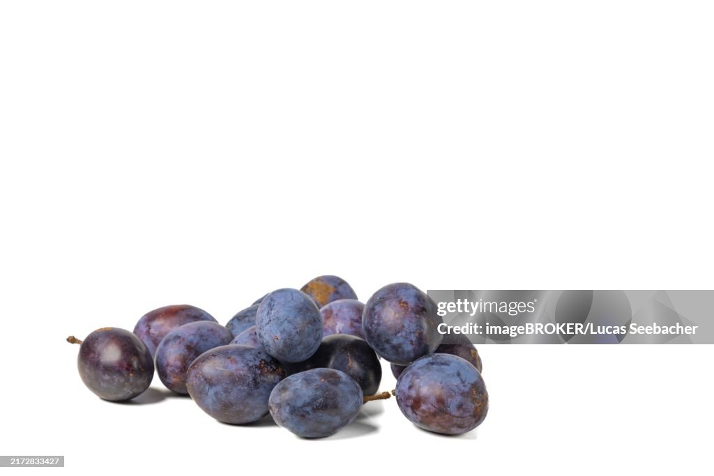 Several plums (Prunus domestica), white background, copy room