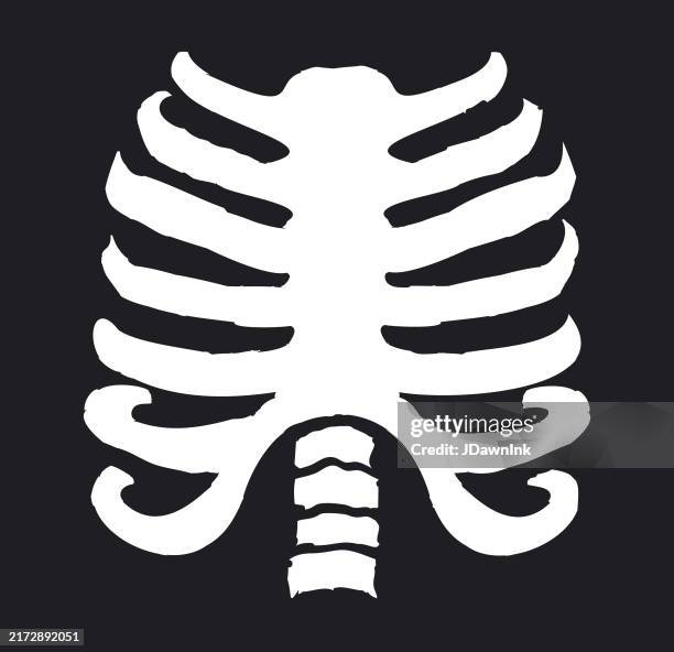 Halloween Skeleton Human Rib Cage In White On Black Background High-Res ...