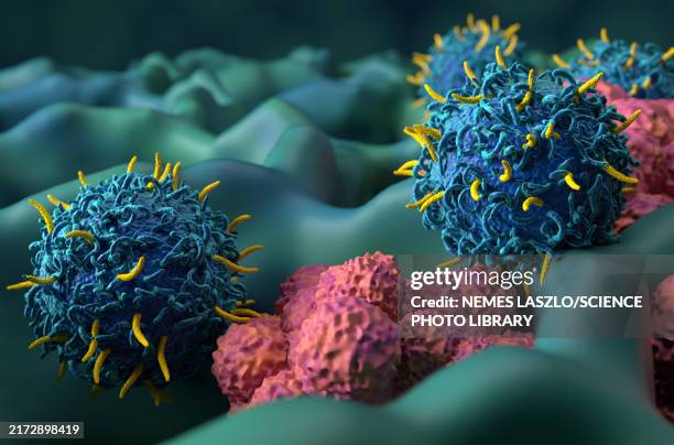 car-t cell therapy for lung cancer, illustration - antigen stock pictures, royalty-free photos & images
