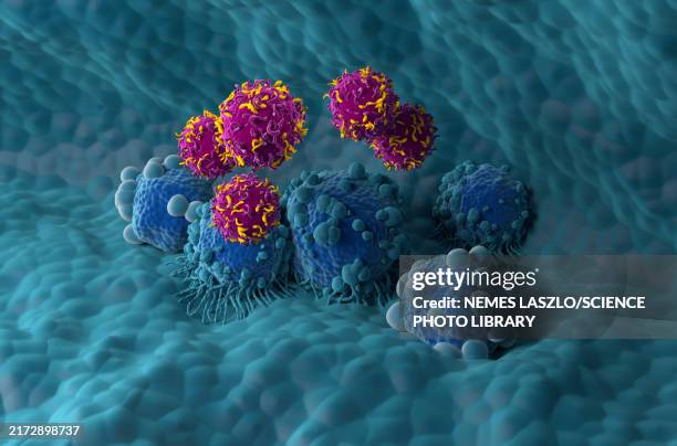 bildbanksillustrationer, clip art samt tecknat material och ikoner med car-t cell therapy for pancreatic cancer, illustration - cell