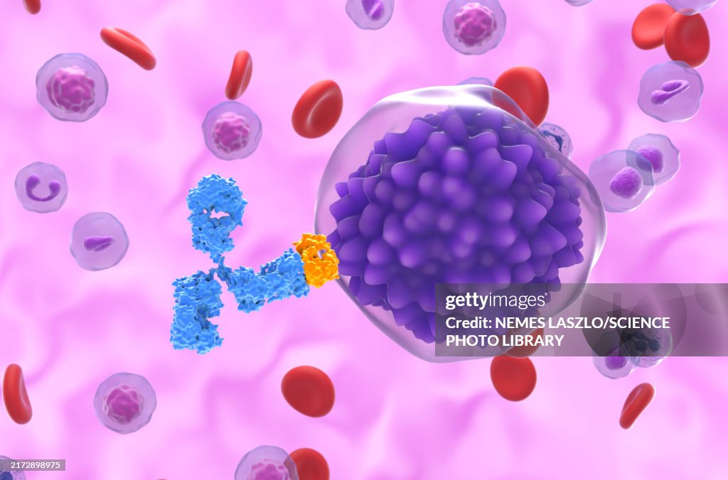 Monoclonal antibody treatment for leukaemia, illustration